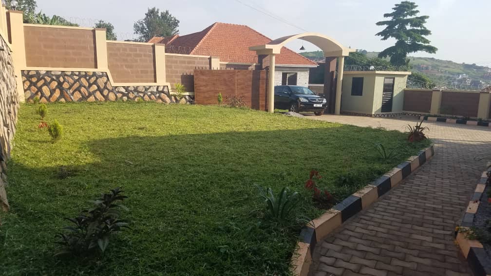 WhatsApp Image 2023-01-31 at 11.01.14 AM.jpeg